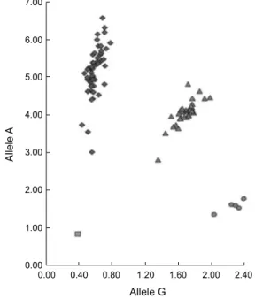 Fig.  1.  Typical  pattern  of  Taqman  assay  of  G (-308)A  SNP  in  TNF-α  gene.