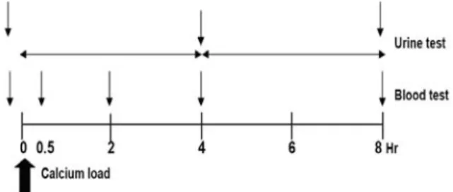 Fig.  1.  Study  design.섭취가 매우 부족한 상황이므로 칼슘제의 복용이 필요한  경우가  많다.  칼슘제로는  칼슘의  함유량이  높고 가격이 비교적 저렴한 탄산칼슘이 많이 사용되고 있으나,  실제  섭취한  칼슘량에  비해  체내  흡수율은 평균 26.4～29%  정도이며,  대부분의 다른 종류의 칼슘염의 흡수율도 23～37%  정도로 보고되고 있다.4    나노칼슘은 나노 단위의 크기를 가진 칼슘으로 기존의 마이크로 크기의 칼슘보다 
