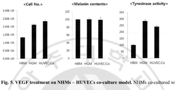 Fig. 5. VEGF treatment on NHMs – HUVECs co-culture model. NHMs co-cultured with 