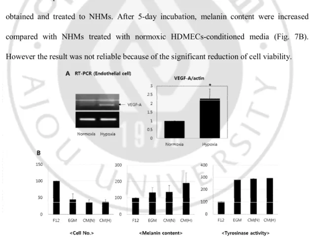 Fig. 7. Using hypoxic condition as one of the activating conditions for endothelial cells