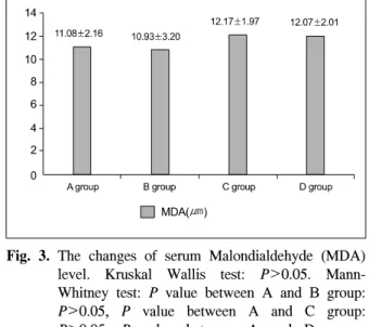 Fig.  2. The  changes  of  Superoxide  dismutase  (SOD)  level  in  erythrocytes.  Kruskal  Wallis  test:  P< 