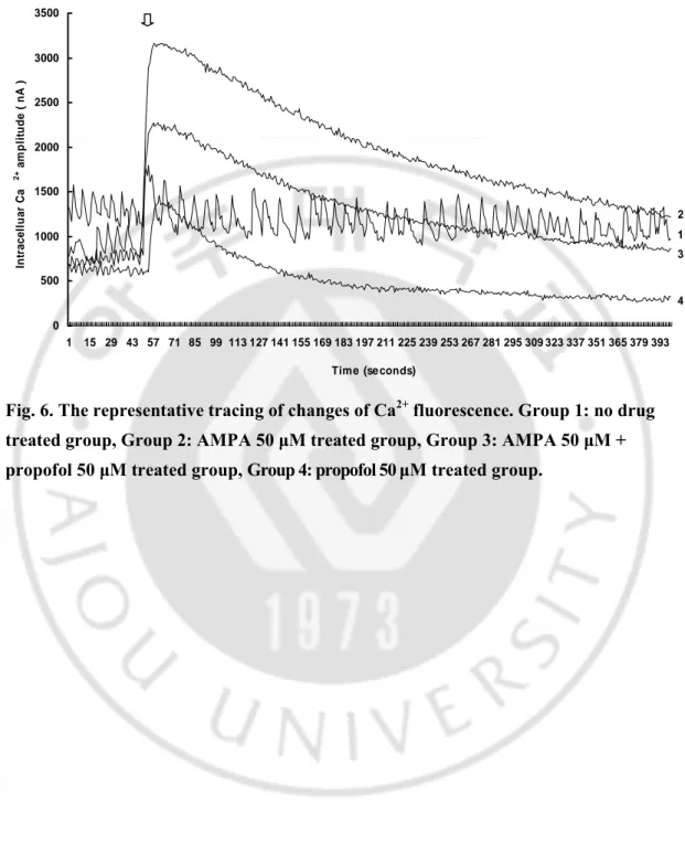 Fig. 6. The representative tracing of changes of Ca 2+  fluorescence. Group 1: no drug  treated group, Group 2: AMPA 50 μM treated group, Group 3: AMPA 50 μM +  propofol 50 μM treated group, Group 4: propofol 50 μM treated group