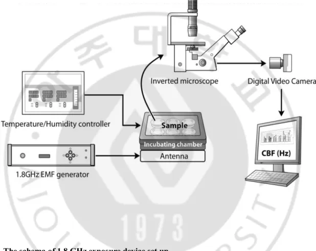 Fig. 1. The schema of 1.8 GHz exposure device set up.   