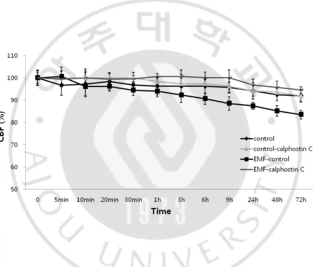 Fig. 5. The effect of Calphostin C on a 1.8 GHz EMF-induced response on CBF.   