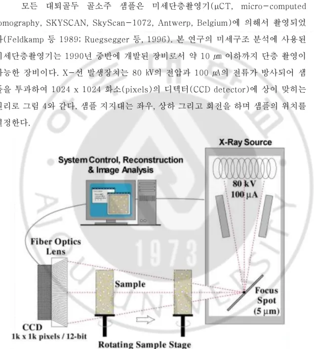 Fig. 4. Principal of micro computed tomography