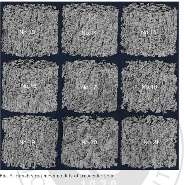 Fig. 8. Hexahedron mesh models of trabecular bone.