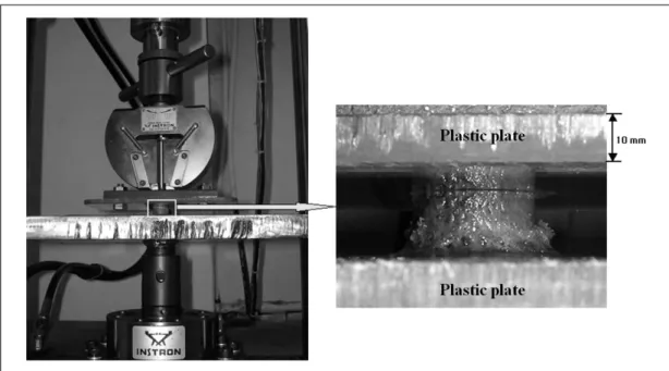 Fig.  6.  Compression  test  by  Instron  machine  of  the  primary  compression  trabeculae.