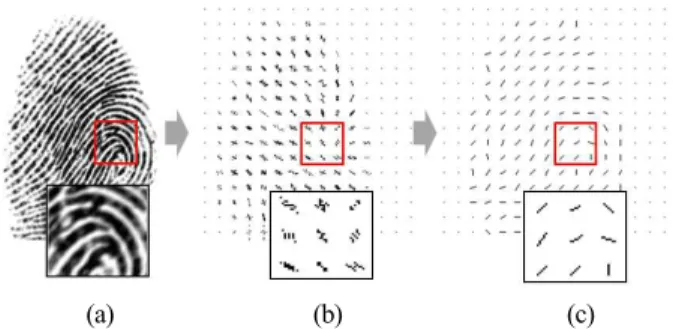 Fig. 2. The computation process of directional components using  FFT.  (a)  Gray  scale  fingerprint  image  (b)  Fingerprint  applied FFT (c) Fingerprint applied line fitting.