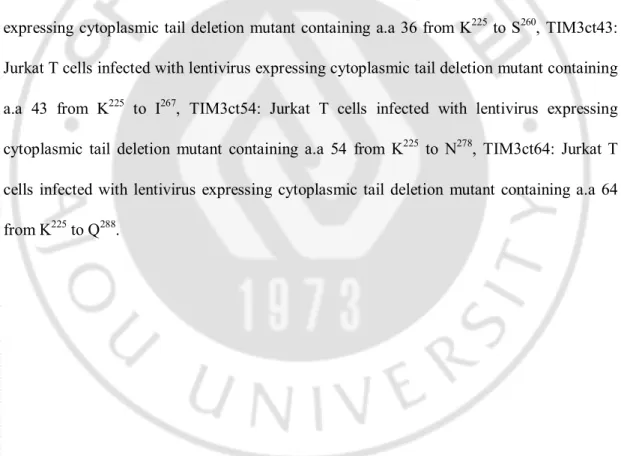 Fig. 6. The expression of TIM3 cytoplasmic tail deletional mutant in stable cell lines