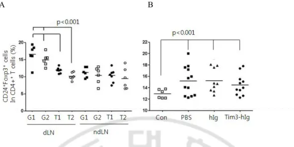 Fig.    11. The frequencies of CD4 + CD25 + Foxp3 +  regulatory T cells in mice given Tim3- Tim3-hIg expressing tumor cells