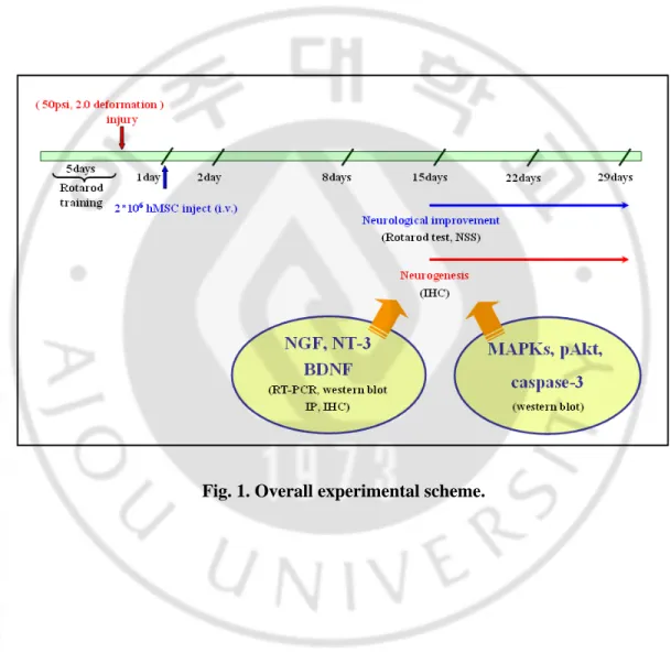Fig. 1. Overall experimental scheme. 