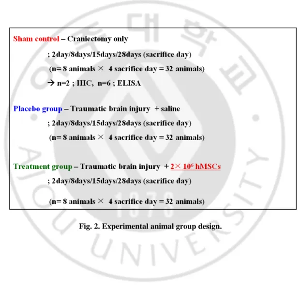 Fig. 2. Experimental animal group design. 