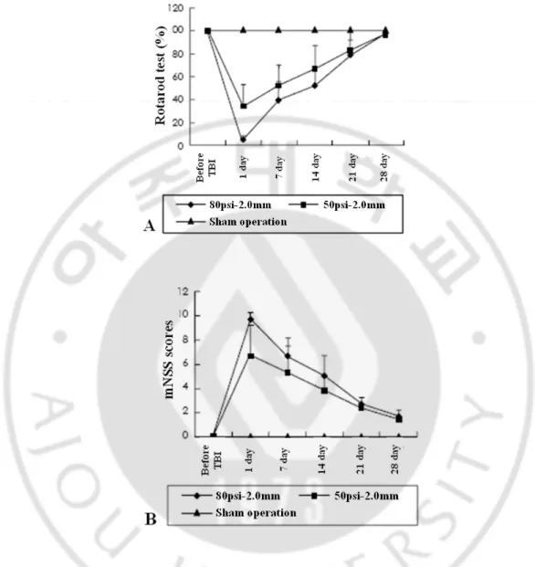 Fig. 3. Neurological changes after controlled cortical impact in the rat TBI model. 