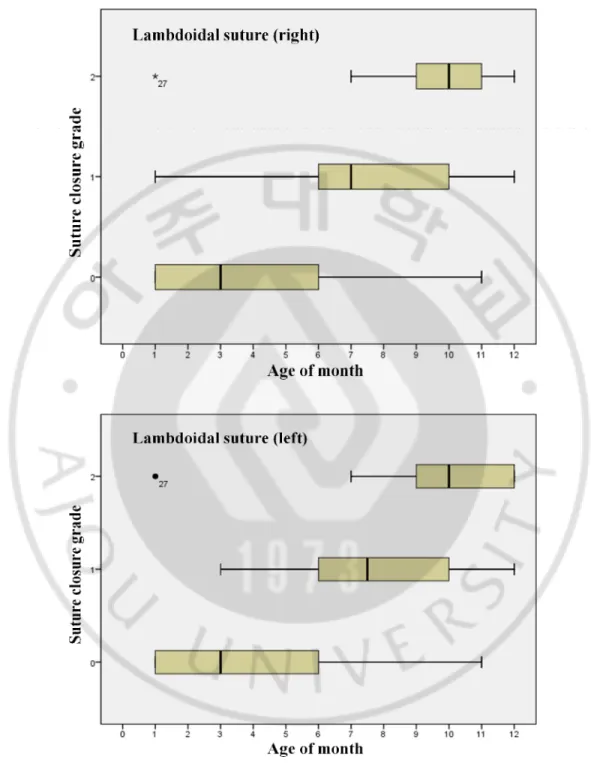 Fig. 5.3. Distribution of suture closure grade in lambdoidal sutures.