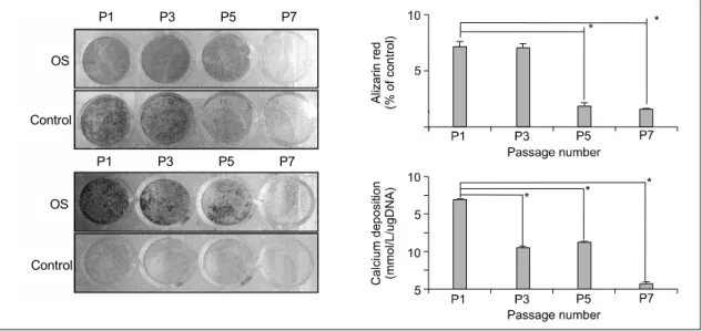 Fig.  4.  계대 배양에 따른 중간엽 줄기세포의 골아세포능 분석