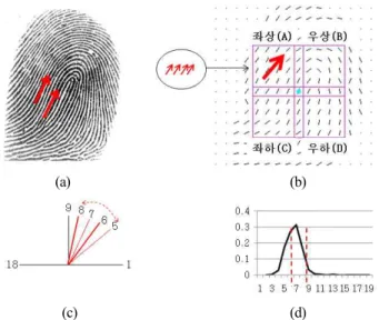 Fig. 8. Frequency distribution of directions by classes.