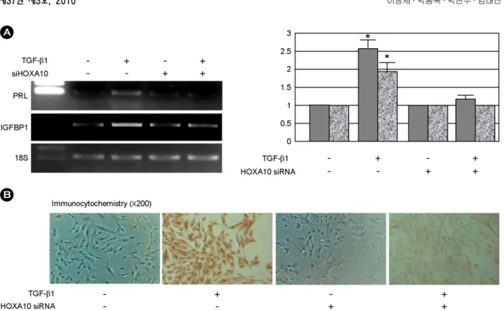 Figure 2. Effect of HOXA10 siRNA on and IGFBP-1 expression. TGF-β1 (10 ng/mL, for 48 hr) upregulated PRL and IGFBP1 mRNA (A) and PRL protein (B) expression, these effect were inhibited by treatment of HOXA10 siRNA