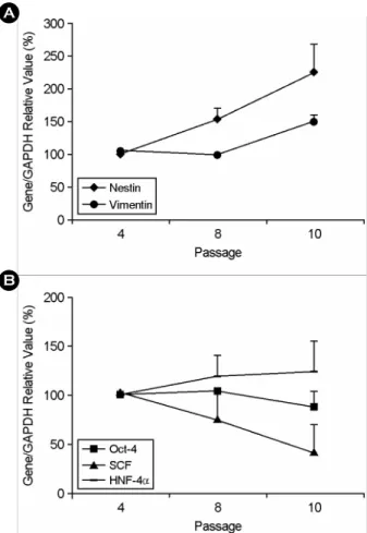 Figure 3. RT-PCR analysis of  HUC during expansion  in vitro. The mRNA expression of  HUC was examined  at p4, 8 and 10 and analyzed the intensity of mRNA  expression by densitometry software