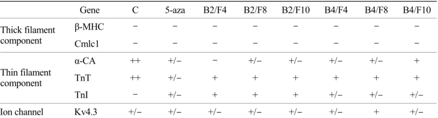 Table 5. Gene expression profiles in HUC after differentiation induction with BMP, FGF and Wnt inhibitor for 4 weeks Gene C  5-aza  B2/F4  B2/F8  B2/F10 B4/F4 B4/F8 B4/F10 β-MHC  -  -  -  -  -  -  -  -  Thick filament  component  Cmlc1  -  -  -  -  -  -  -