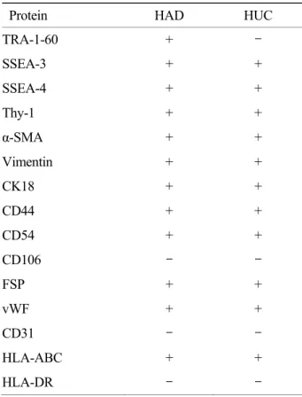 Table 3. Immunocytochemical analysis of proteins  expressed in HAD and HUC 