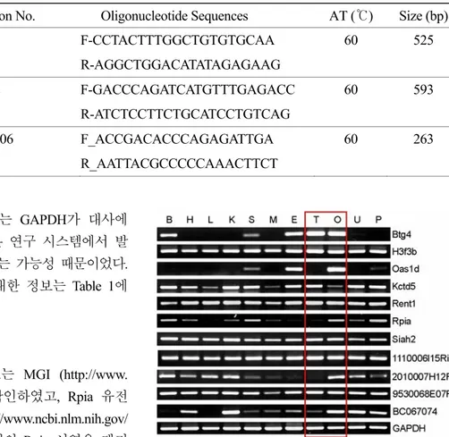 Figure 2. RT-PCR analysis of various MII-selective  genes in various mouse tissues identified by ACP-PCR  method