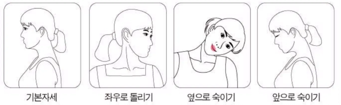 Fig. 6. ⑤ 목운동 (Fig. 6) ▪턱을 최대한 목쪽으로 끌어당겨 목에 붙인 자세 에서 운동을 시작합니다. ▪도리도리 식으로 좌우로 머리돌리기를 6회 반복 하되 턱이 목에서 떨어지지 않도록 주의합니다