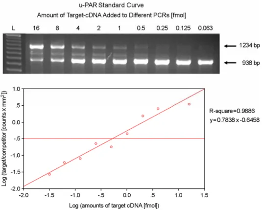 Figure 2. A representative illustration of  u-PAR 