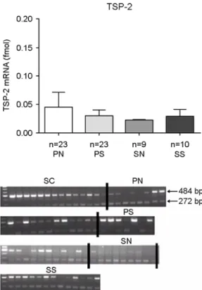 Figure 2. The TSP-2 mRNA expression in eutopic  endometrium throughout the menstrual phase