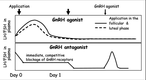 Figure 2. Pharmacokinetic characteristics of  GnRH antagonist, compared to GnRH-a 
