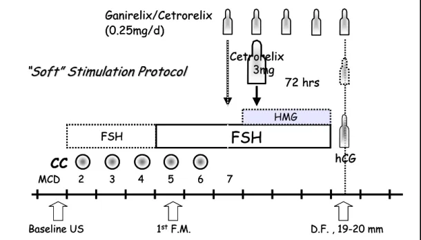 Figure 4. Soft stimulation protocol using GnRH antagonist 