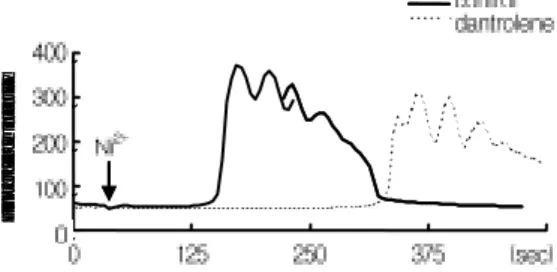 Figure 10. The effect of dantrolene (Ryanodine receptor antagonist, 1uM) on the Ni 2+ induced [Ca 2+ ]i transients