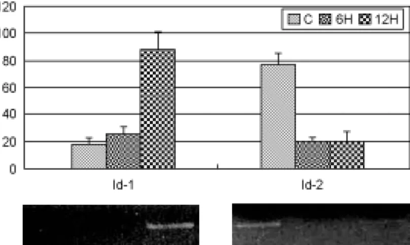 Figure 2. Expression patterns of  Id-1 and -2 mRNA in uterine specific cell types obtained with LCM