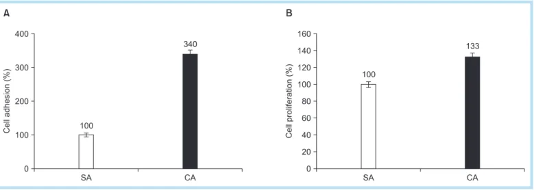 Fig. 6.  MG-63 cellular activity on SA and CA surface for cell attachment and proliferation