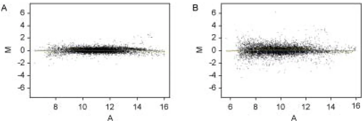 Figure 2. Semiquantitative RT-PCR analysis confirming estrogen-regulated genes. Upper pannel, Expression patterns of estrogen-activated genes; Lower pannel, Expression patterns of estrogen-repressed genes