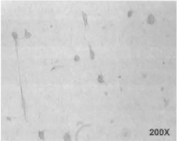 Table 2. The concentration of HGF in conditioned medium was determined by enzyme-linked immunosorbent assay  (ELISA)