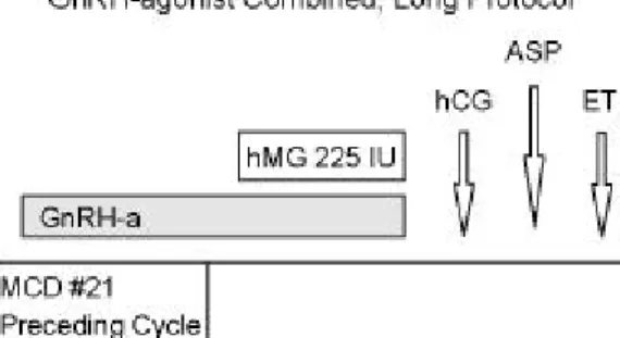 Figure 1. GnRH agonist long protocol 