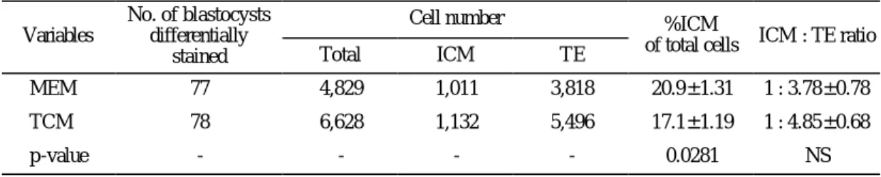 Figure 1. Differential staining of mouse blastocysts (×400): (A) propidium iodide (PI), (B) bisbenzimide and (C) differentially stained
