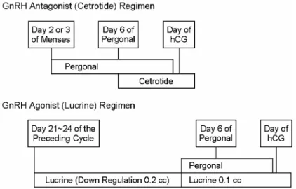 Figure 1. Schematic presentation of the treatment regimens. 