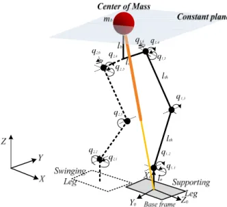 Fig.    1. 12-DOF bipedal robot model and LIPM. 
