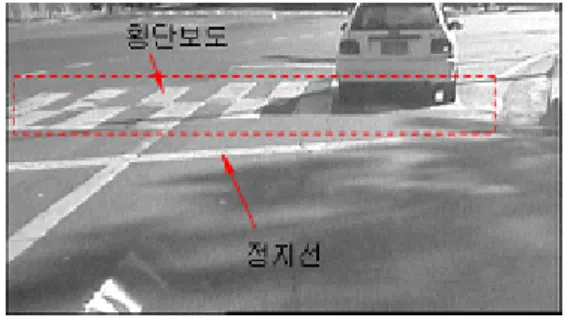 Fig.  1. Stop line and crosswalk. 