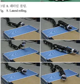 Fig.    9. The mechanism of curb type obstruction. 