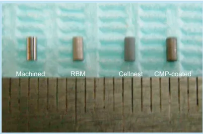 Fig. 2.  Photograph of the experimental implants. RBM: 