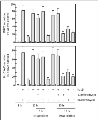 Fig. 1. Effect of macrolides on the IL-1β-mediated MUC2/5AC  genes expression. NCI-H292 cells were treated with 2 ng/ml of  IL-1β for 8 hour and then treated with clarithromycin (20  μM) or roxithromycin  (20  μM) for 3 and 5 hour