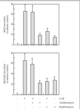 Fig. 4.  Preventive effect of macrolides on the IL-1β-mediated  MUC2/5AC mucin secretion