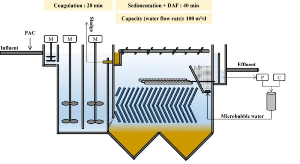 Fig. 1. Concept image of SeDAF process.