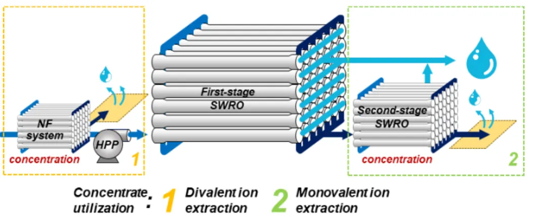 Fig. 6. Strategies for utilizing concentrate from SWRO desalination plants.