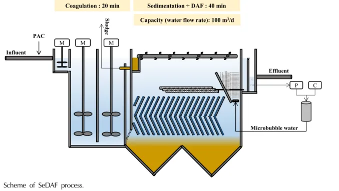 Fig. 1. Scheme of SeDAF process.