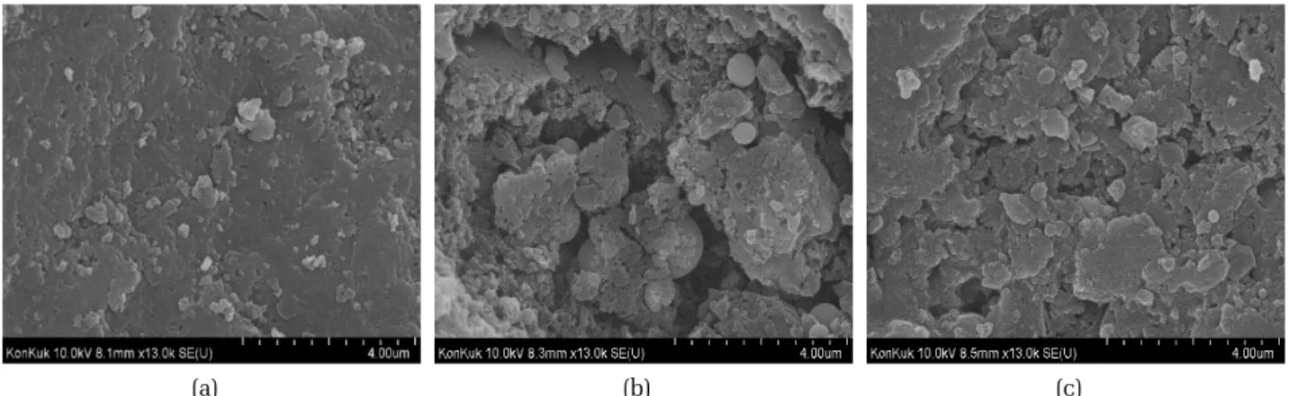 Table 6. Variations of specific surface area, total pore volume, and mean pore diameter of the phosphoric acid treatment/