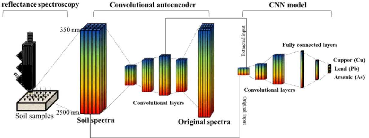 Fig. 9. Soil reflectance spectra input measurement and CNN model structures with convolutional autoencoder (Modified from Pyo et al., 2020)