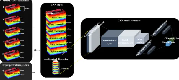 Fig. 4. CNN structure; input layer by atmospheric correction parameters and digital number, two convolutional layers, and two fully connected layers for phytoplankton pigment estimation using CNN model (Modified from Pyo et al., 2019).